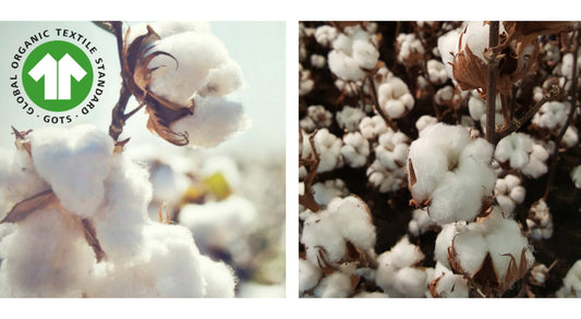 Organic Cotton vs. Regular Cotton: What's The Difference?
