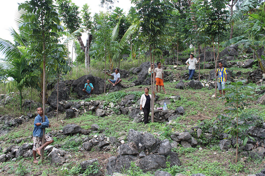 World Environment Day 2020